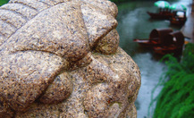 10_thumb
