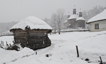 _dsc4420_thumb