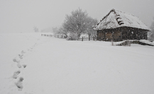 _dsc4393_thumb