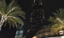 D4_thumb