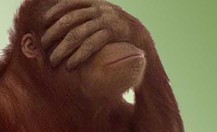 Facepalm_thumb