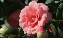 14b7681b-3b8d-4e06-99c7-6503bc01ff77_thumb